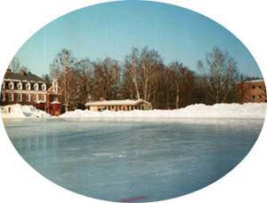 Rink image of Ratina